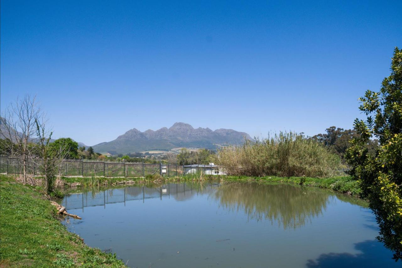 Sunset Farm Stellenbosch Villa Exterior photo