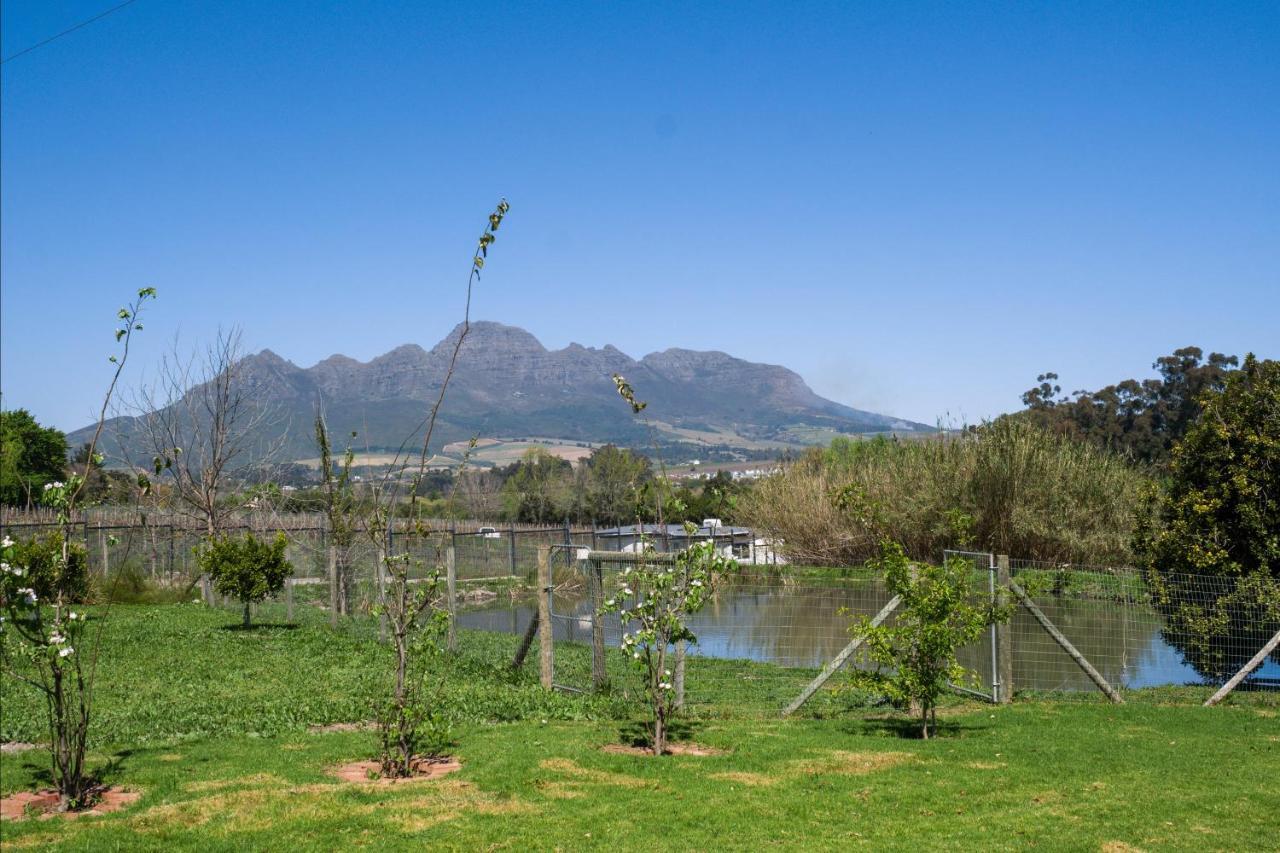 Sunset Farm Stellenbosch Villa Exterior photo